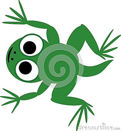 Cartoon green froglet with tail and big eyes isolated on white Vector Illustration